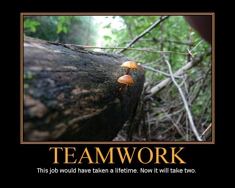 Description : funny teamwork posters,funny retard memes,funny facebook ...