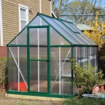 Palram Mythos 6x8 Greenhouse. Pretty nice overall, but could use a bit of shoring-up for longevity.